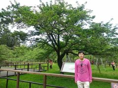 -台北故宫博物院