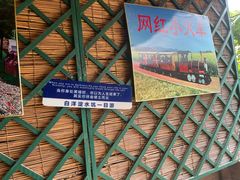 -白洋淀景区