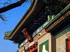 -国家图书馆·古籍馆