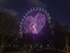 -丁香湖公园
