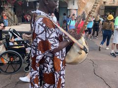 -奥兰多迪士尼动物王国乐园