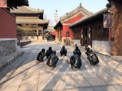 -TRB Forbidden City(故宫店)