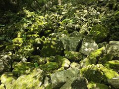 -萍乡武功山风景名胜区