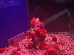 -蓬莱欧乐堡海洋极地世界
