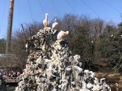 -合肥野生动物园