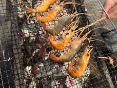 -小象钓虾·营地烧烤(洛溪店)