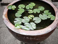 -许驸马府