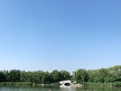 -大兴滨河森林公园
