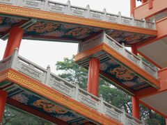 -东莞市大岭山森林公园