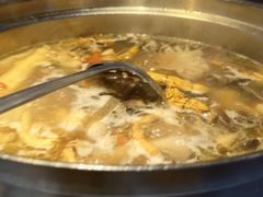 -千岛蚝高压锅生蚝·人参火锅(白云万达店)