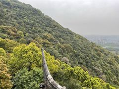 -杭州半山国家森林公园