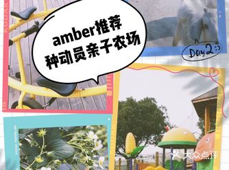 打卡种动员亲子农场！ 厌倦了城市的喧嚣来农场体验一下