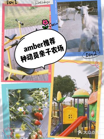 打卡种动员亲子农场！ 厌倦了城市的喧嚣来农场体验一下