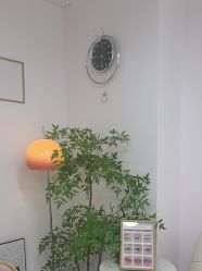 -变美丽半永久纹眉连锁·机器野生眉•洗眉