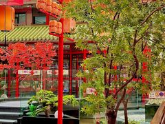 -老山东·山东菜(鲁菜名店)