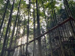 -山王坪喀斯特国家生态公园