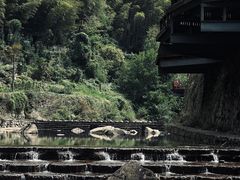 -大奇山国家森林公园