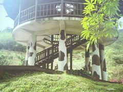 -瑞穗牧场