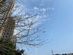 -星巴克(深圳布吉万象汇4F店)