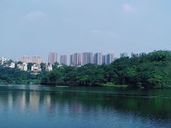 -重庆彩云湖湿地公园