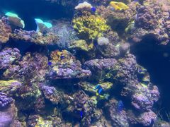 -海合安青岛极地海洋公园