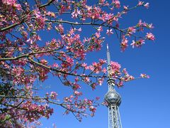 -文华公园(禅城区)