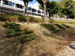 -大埔公路-马料水段香港中文大学(公交站)