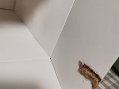 -CAKE BOSS蛋糕老板(公主坟凯德晶品店)