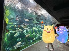 -哈尔滨波塞冬海底世界