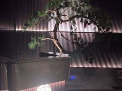-大拙里·精致融合菜(沙湖桃源国际店)