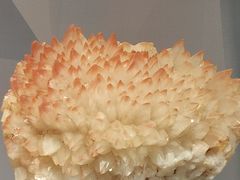 -湖南省地质博物馆