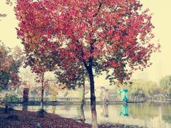 -白塘生态植物园