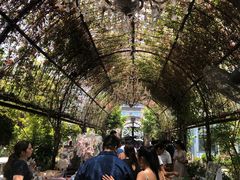 -The Grounds of Alexandria