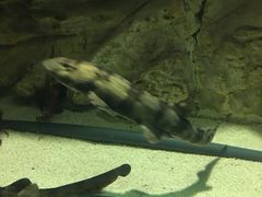 -苏州海洋馆