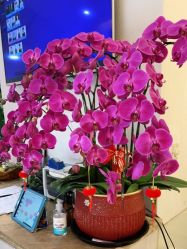 -Hair ART造型沙龙