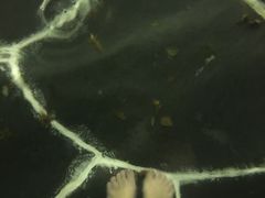 -常州环球恐龙城维景国际大酒店