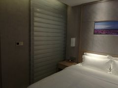 -麗枫酒店(广州珠江新城地铁站店)
