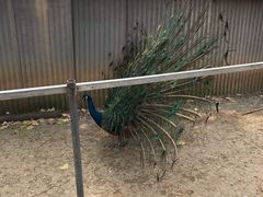 -祥源·阜阳生态乐园