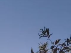 -长春世界雕塑园