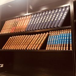 -Tipo Hair salon（明星）店