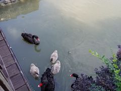 -常州武进九洲喜来登酒店