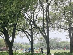 -上海滨江森林公园