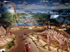 -自贡恐龙博物馆