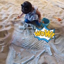 -恐龙探索乐园(磁器口店)