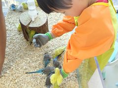 -怪兽屋·羊驼·猫咖·狗咖(俊华广场店)