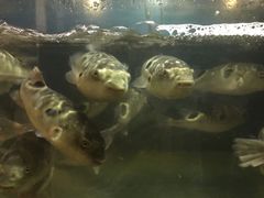 -沈厅酒家(周庄店)