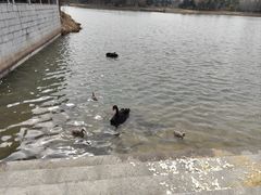 -江南大学(蠡湖校区)