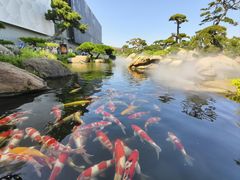 -罗红摄影艺术馆