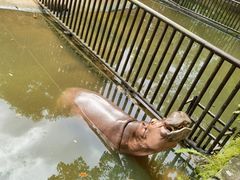 -海南热带野生动植物园