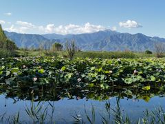 -野鸭湖国家湿地公园